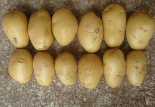 骑自行车|研究血糖45年,医生:想要预防血糖升高,”三种“食物要建议少吃