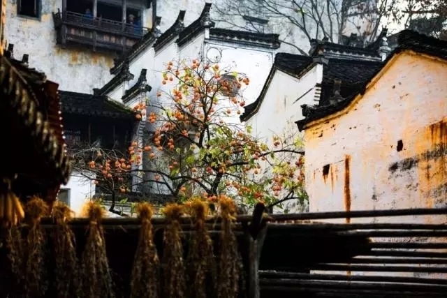 楚天碧#最美6首梅花诗词,令人心醉唇齿留香