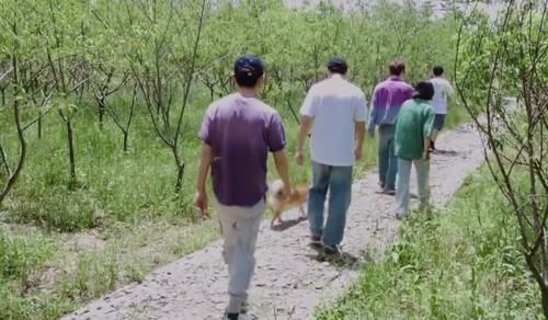 张艺兴|《向往5》收官，7个没想到令人动容，第六季是定数还是未知数