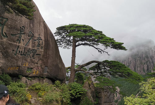 黄山有什么特产？推荐6种黄山特产，请顶起来！