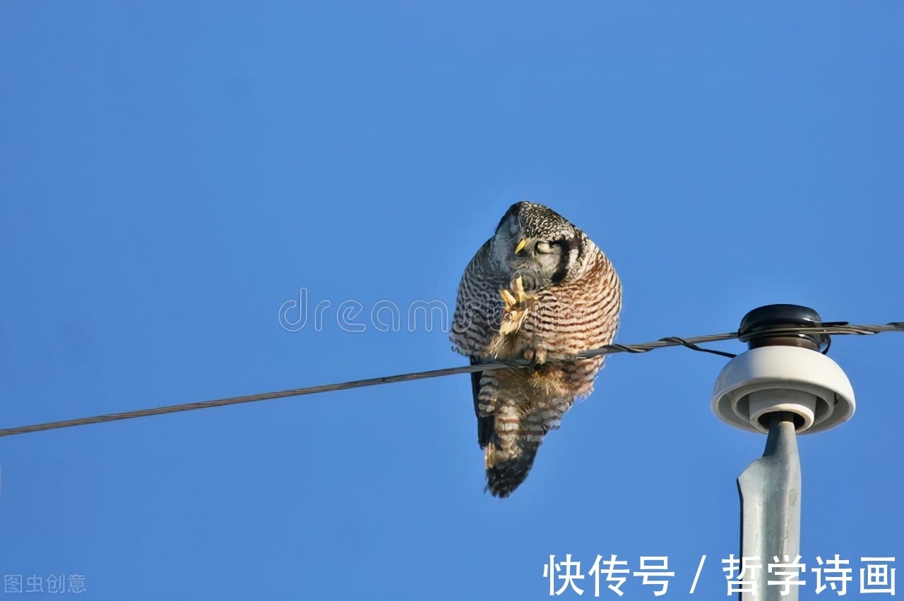 智慧！什么是哲学？此文给你最好的解读，不服来辩