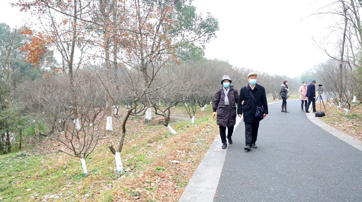 宫粉梅|纤蕊浅苞，西溪湿地红梅绽放