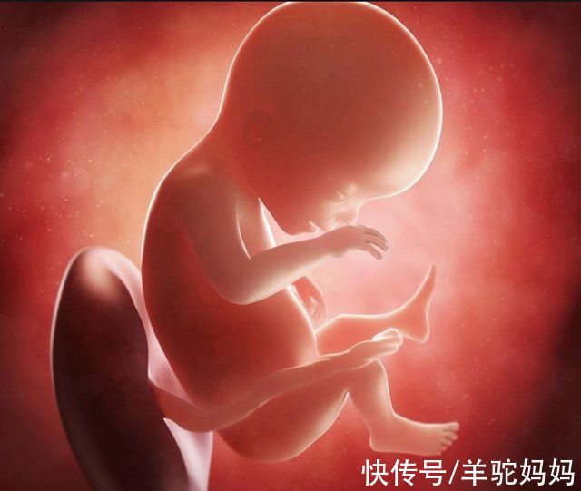 宝宝|如何知道胎儿是否“缺氧”?当孕妈有这2种感觉，应当及时就医