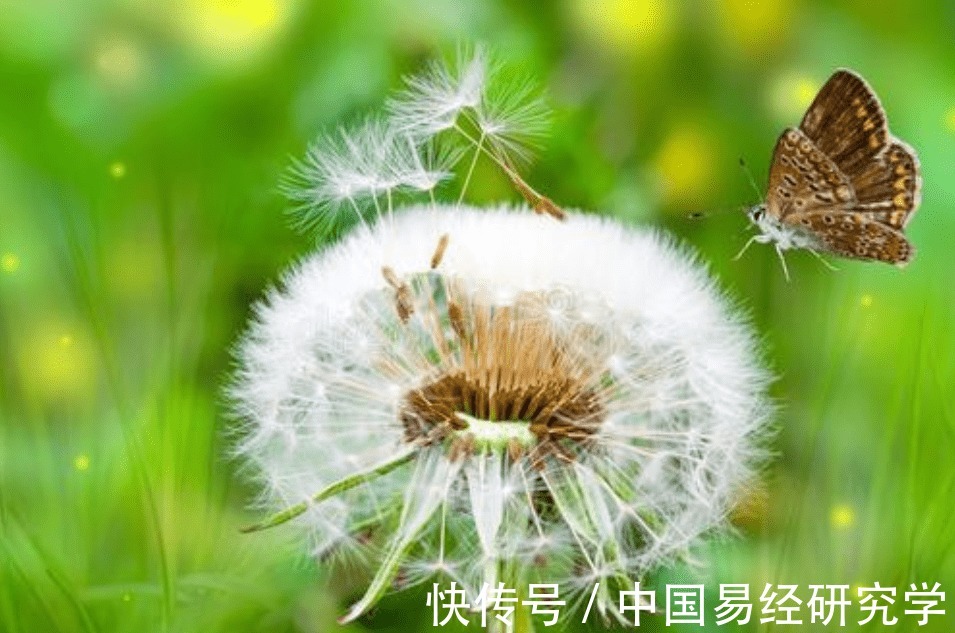 五行|我想给自己改名字,网上取名大师哪个靠谱