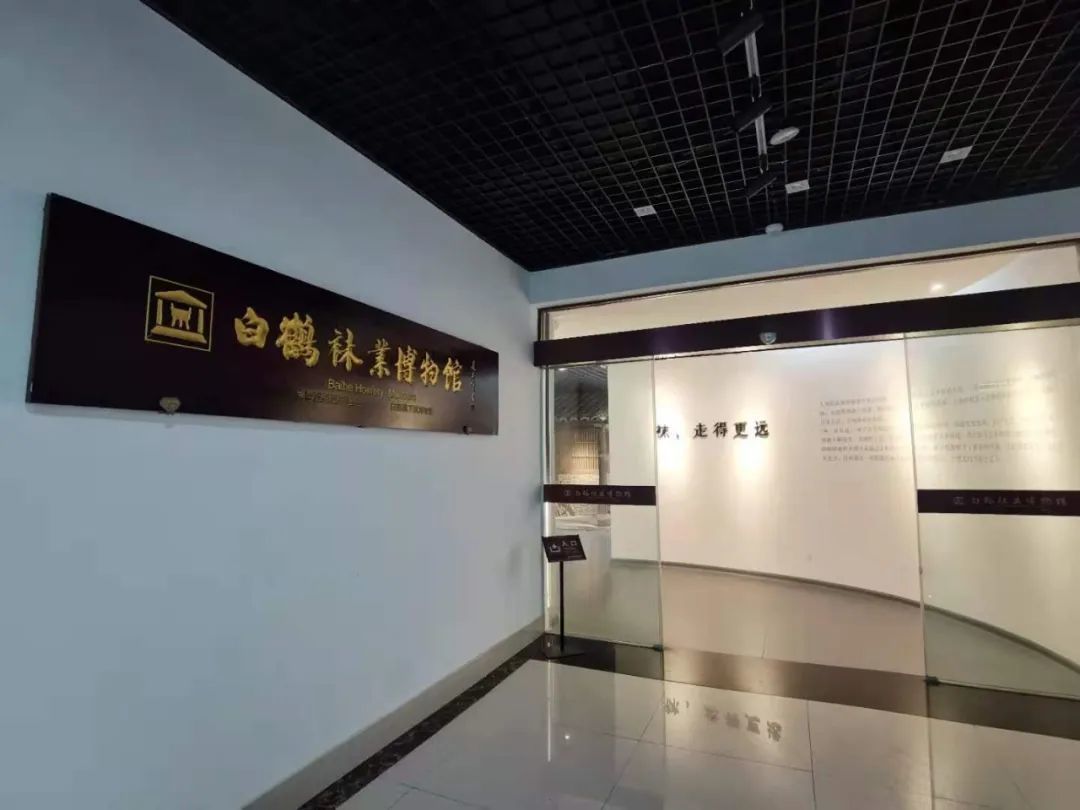 王姜鹏|近8000人从事袜业工作 年产值50亿余元丨天台白鹤：一双袜子带动一个小镇
