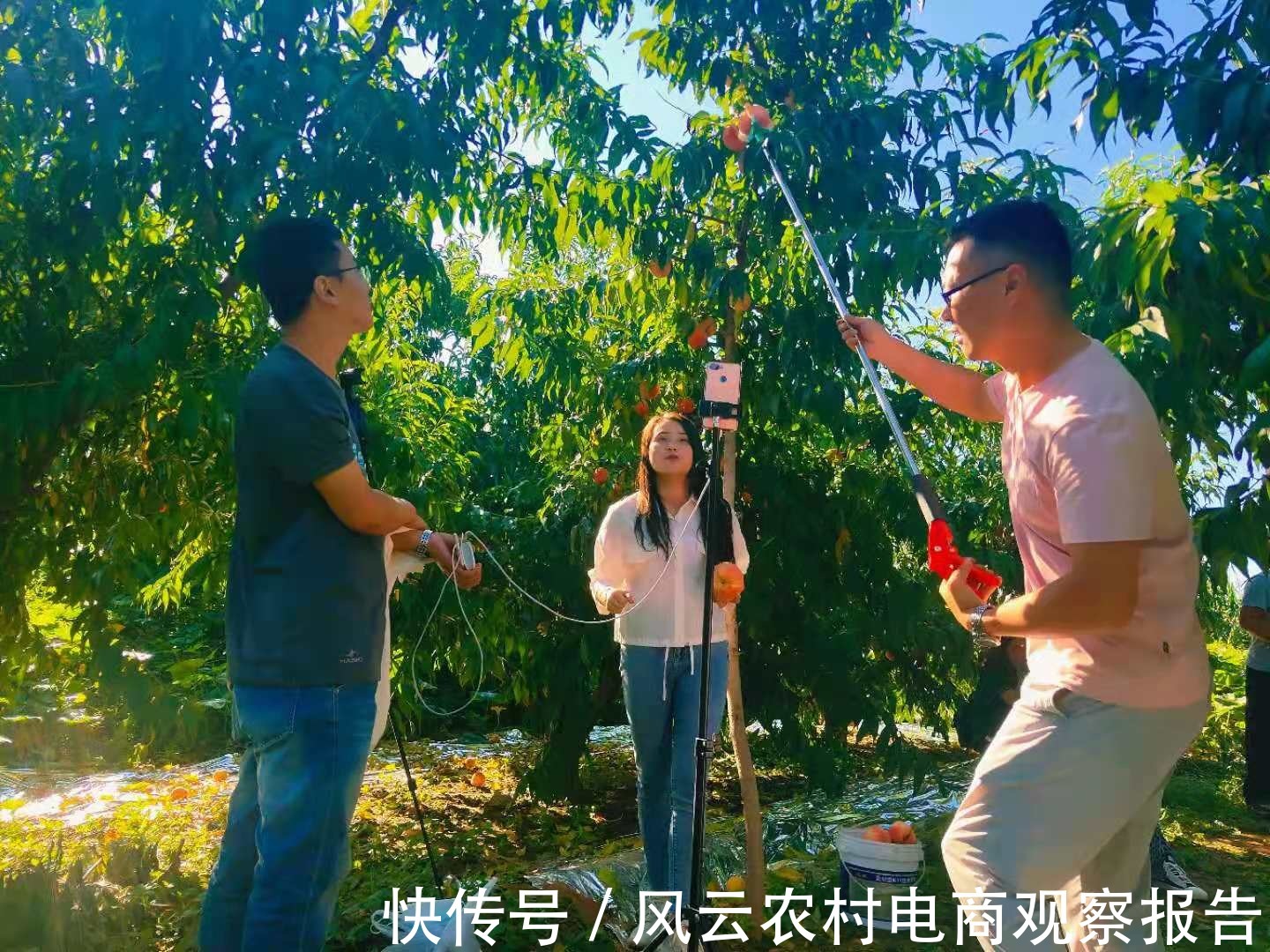 农产品|提升公共品牌影响力 顺平网红带货直播活动｜轩琪案例