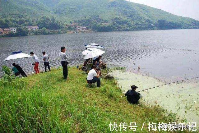 栖息|别再抢老钓位了，“秋老虎”鱼儿都藏在这，选这垂钓事半功倍