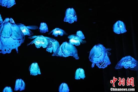 中国花博会|裸眼3D、全息影像沉浸式体验不一样的花博盛会