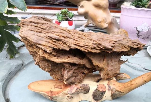 行云石居|一块像凤凰的树化玉,有个老板愿出五万购买