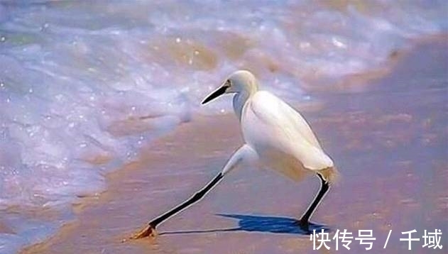 |搞笑图片幽默段子笑话:大爷你出门可要小心点啊,太招摇了