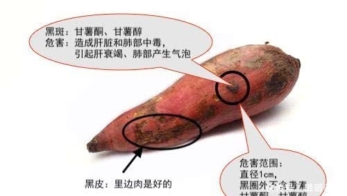 红薯保存难?教你一招,放一年都不坏,还越放越甜