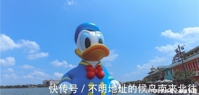 21个冷知识:真实存在,有用且有趣的奇怪知识