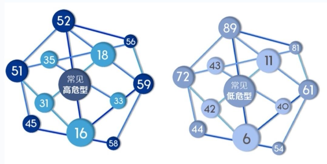 宫颈癌|医生，打了九价的HPV疫苗，还需要做HPV筛查吗？