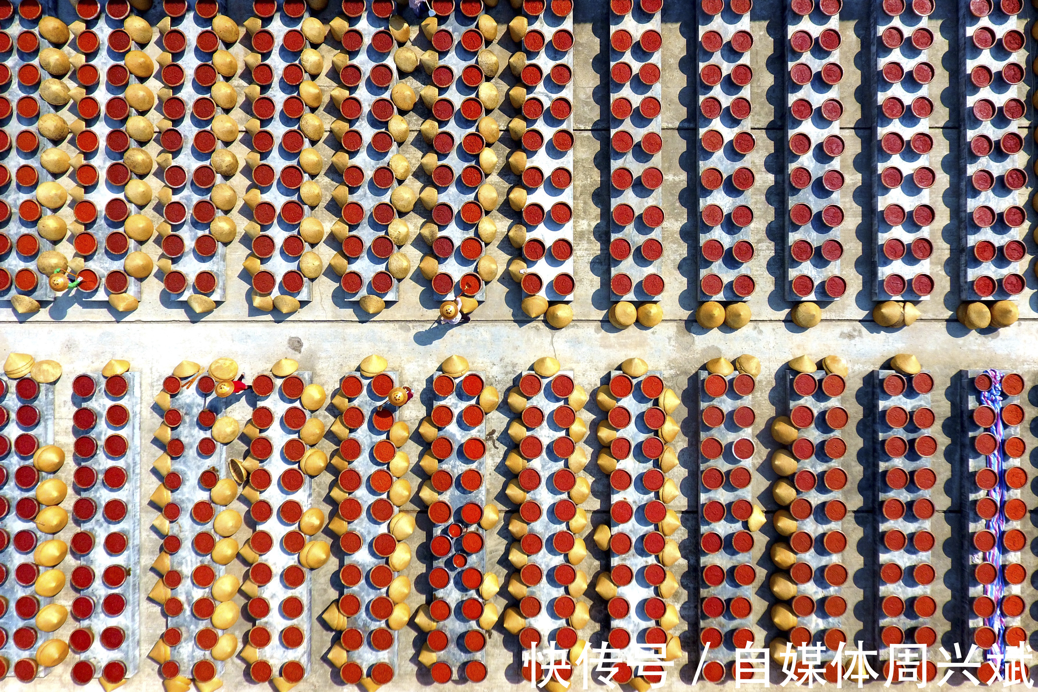 基础设施|扎根乡土，农村电商成为新一代的“务农人”