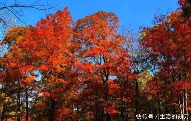 这个秋天，最值得拥有的地方，我们一路同行！