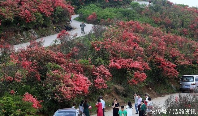 舜皇山|湖南永州最有名的3座山，其中1座是千古名山，你去过吗