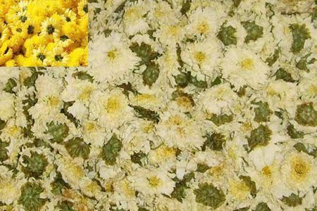 肝毒|肝病“天敌”找到了,这些药材泡水喝,清肝毒远离肝病