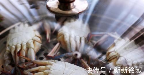 凉水|清蒸梭子蟹,凉水还是热水上锅蒸?学会这一招,保证不掉腿不流黄