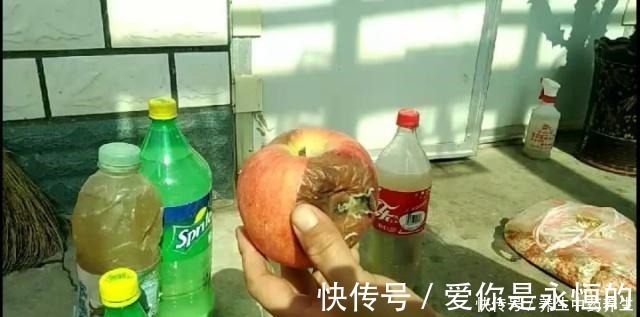 花儿|家里常扔的一种“皮”,水里泡一泡,浇花响当当,叶片肥壮花儿旺!