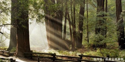 《万古神帝》张若尘就服这个逗逼