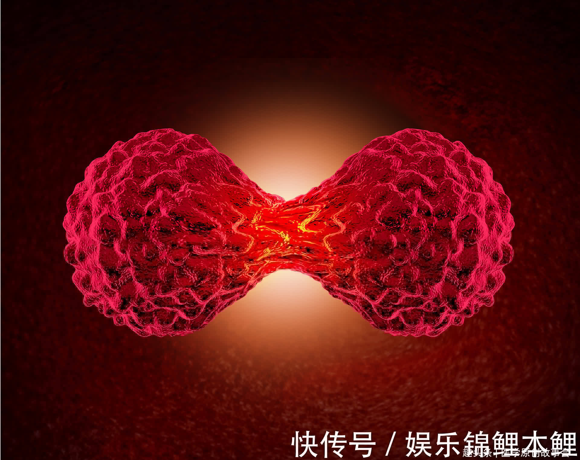 肿瘤院长|晚期癌症只能活活痛死？癌症根本不用治？肿瘤院长讲了九个真相