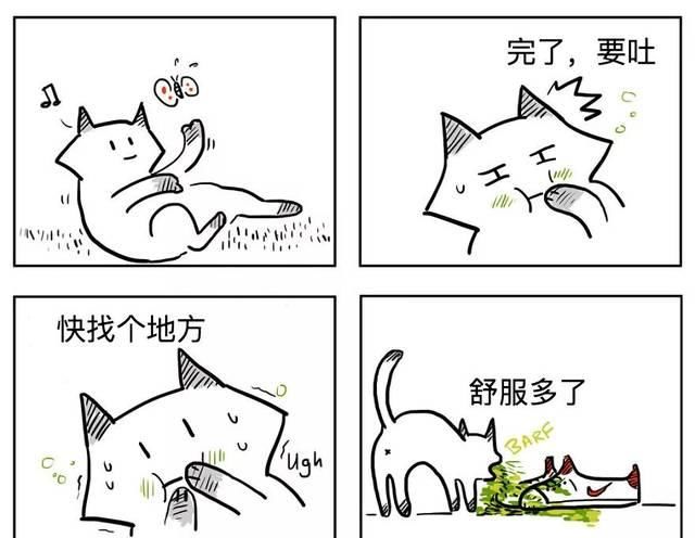 扎心|漫画：8个养猫的扎心瞬间，看完泪崩。