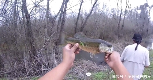 水沟|车一停,公路边上一站,朝着水沟就钓鱼,鱼获多样,鱼从哪来?