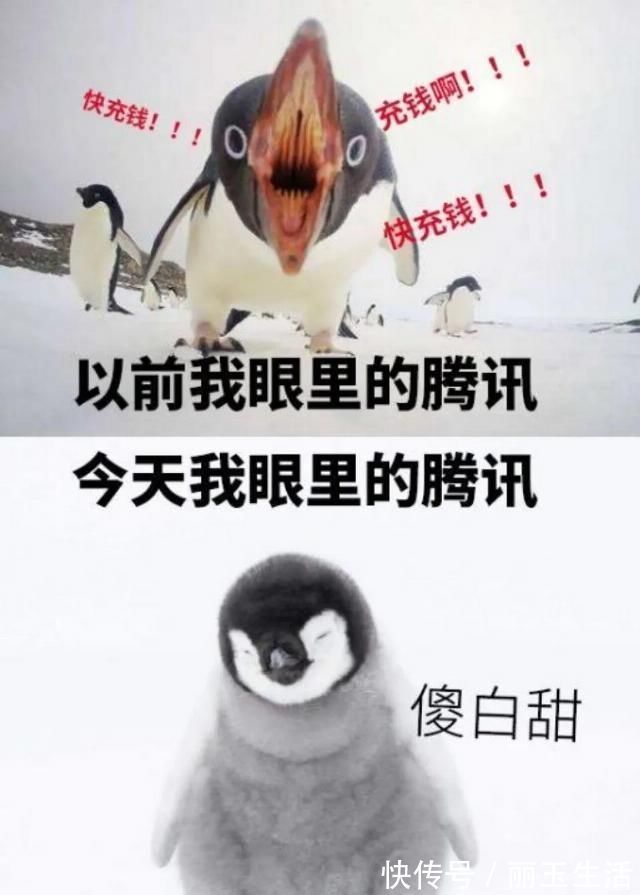 南山必胜客|腾讯被群嘲背后不只是一场全民娱乐这么简单