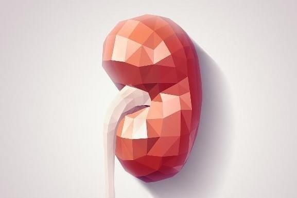 补肾|天然“养肾王”找到了，男性每天吃点，补足肾气，肾脏更健壮！