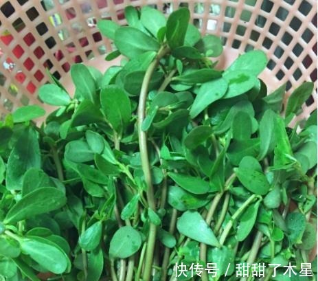 夏天|夏天,吃苦瓜不如吃“它”,清热消暑又营养,不懂就太可惜了!