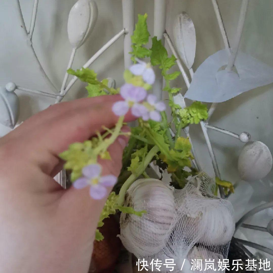 3个月后才回家,家里的花疯了,墙缝、房顶都爬满!