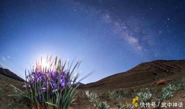 本是青灯不归客,却因浊酒留风尘,十首禅意诗,十种人生大境界!