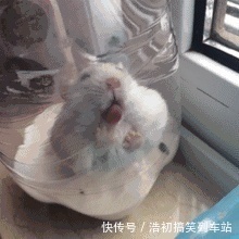 |爆笑段子:昨晚家里进了一女贼,因为光线太暗,没看太清