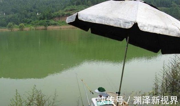 坠子|盛夏如何野钓鲫鱼，只需五招轻松有效！