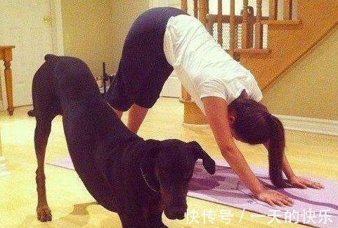 |搞笑趣图段子：阿汪，做的还蛮标准的嘛