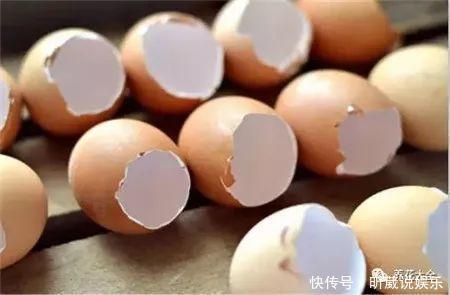 4种垃圾不会分类别担心，埋在花盆底，叶子绿得直滴油！