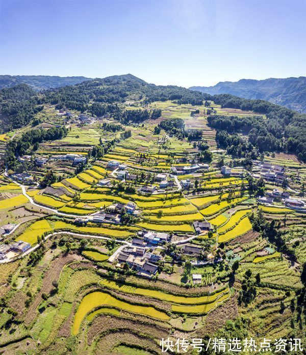 生机镇|贵州毕节：生机镇焕发“生机”稻田景色如画美