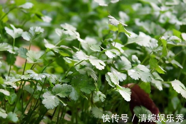 羽毛球|22个冷知识,课本上不会出现,但却真实有趣的存在着