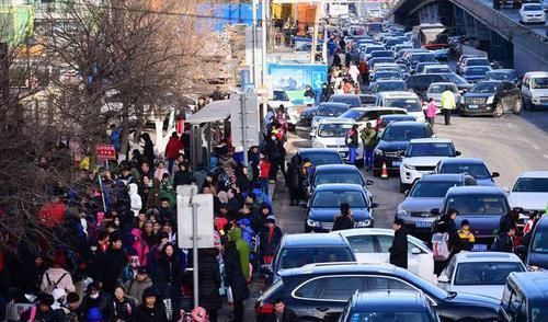 校园欺凌|“别再接孩子上下学,你在毁了他”,大学教授的提议,被家长怒怼