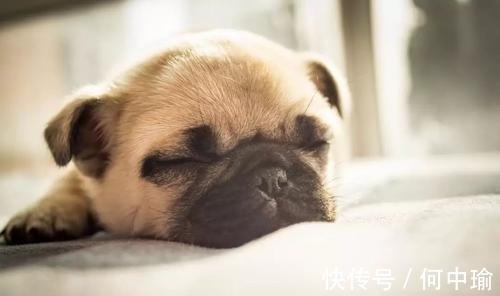 财运|7月22号起,生意兴隆,财运滚滚,喜事成双的3属相,有你吗?