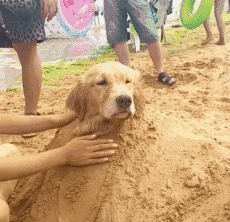 |搞笑GIF:妹子 你们成功欺骗了我的眼睛