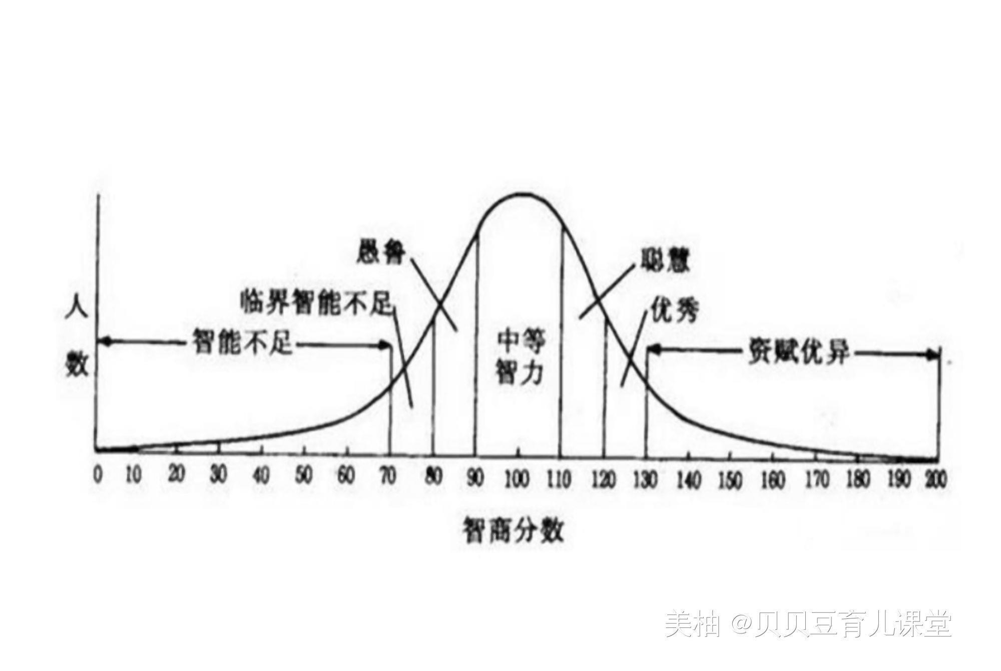 孩子|研究发现脑力超常的孩子通常会有三个坏毛病，家长不用过多纠正