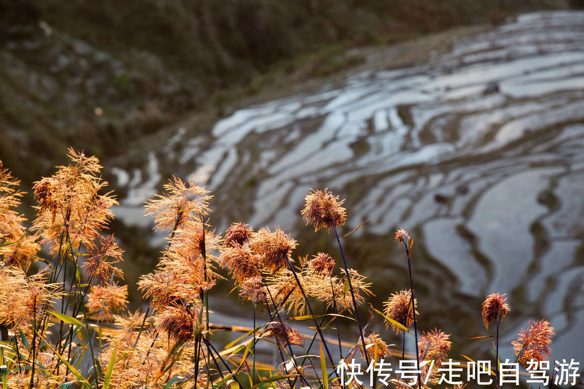 元阳|2月最佳旅行目的地，对的时间就去对的地方