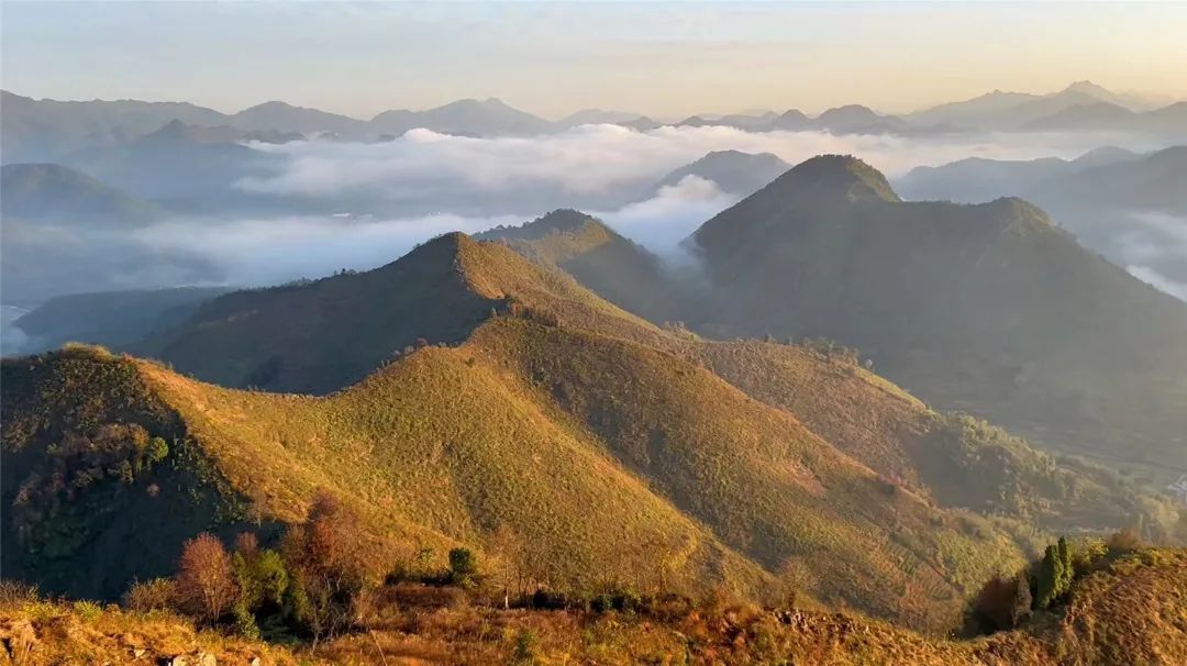 日出|浙江开化：360°观云海日出！高清视频+美图，带你“云上”赏人间仙境