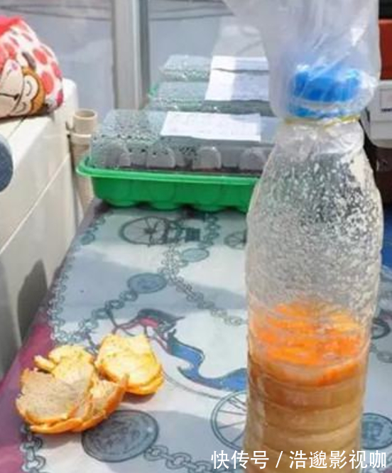 这些“垃圾”不要扔,用来养花“一级棒”,肥的流油,环保又省钱