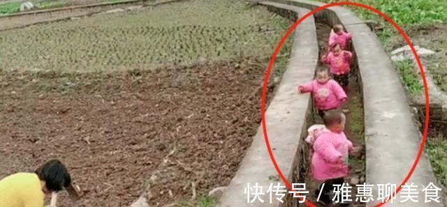 小推车|最勤劳奶奶走红,独自带四胞胎还干农活,网友:这才叫“圈养”