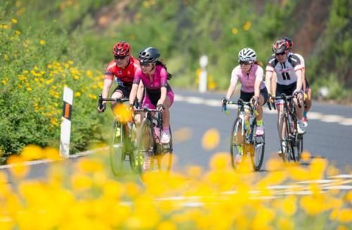 草酸|黑豆易引发骨质疏松？医生提醒：2绿1白“偷钙”食物，尽量少吃