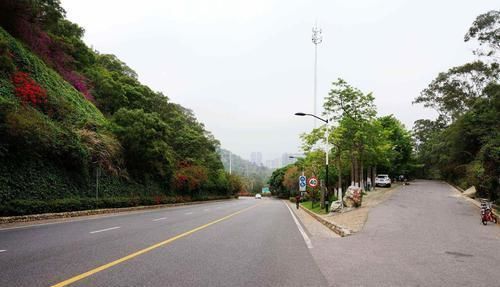 地球上车往高处滑、水往高处流的怪坡,是怎么形成的