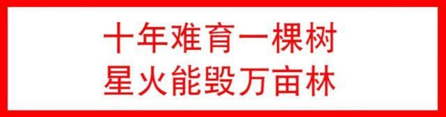 这样的春天，你能抗拒得了？