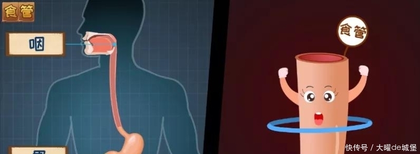 胃食管反流咋回事?反酸烧心背后真相是啥?胃食管反流发病机制